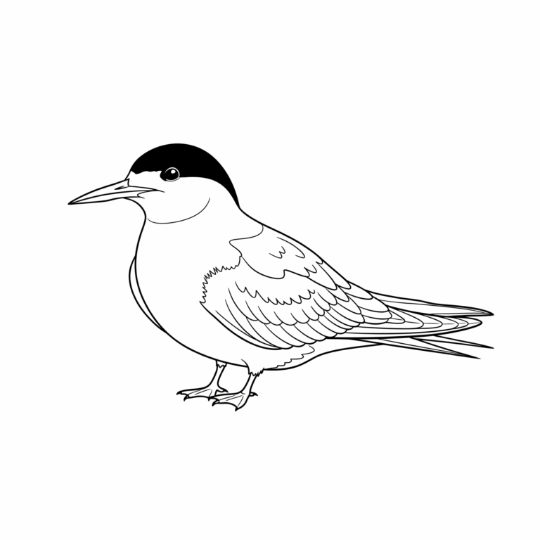 Rybitwa