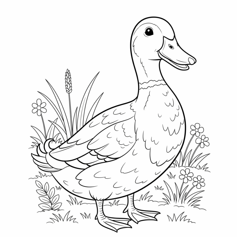 Kaczka