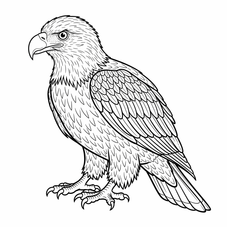 Orzeł