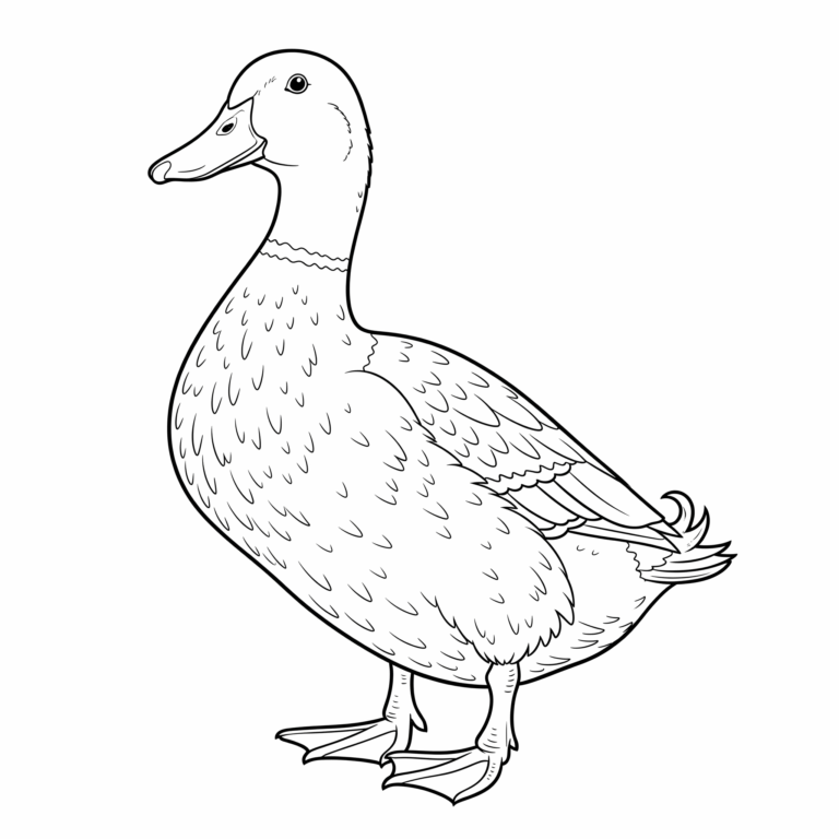 Kaczka