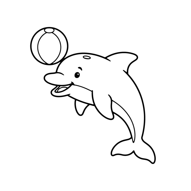 Na obrazku znajduje się uśmiechnięty delfin podskakujący w górę i balansujący dużą, okrągłą piłką na głowie.